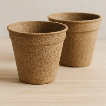 20250925_2201_Eco-Friendly Wooden Pots_simple_compose_01k613xztmfwz8ms20r7t9cqfr
